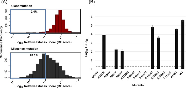 FIG 3 