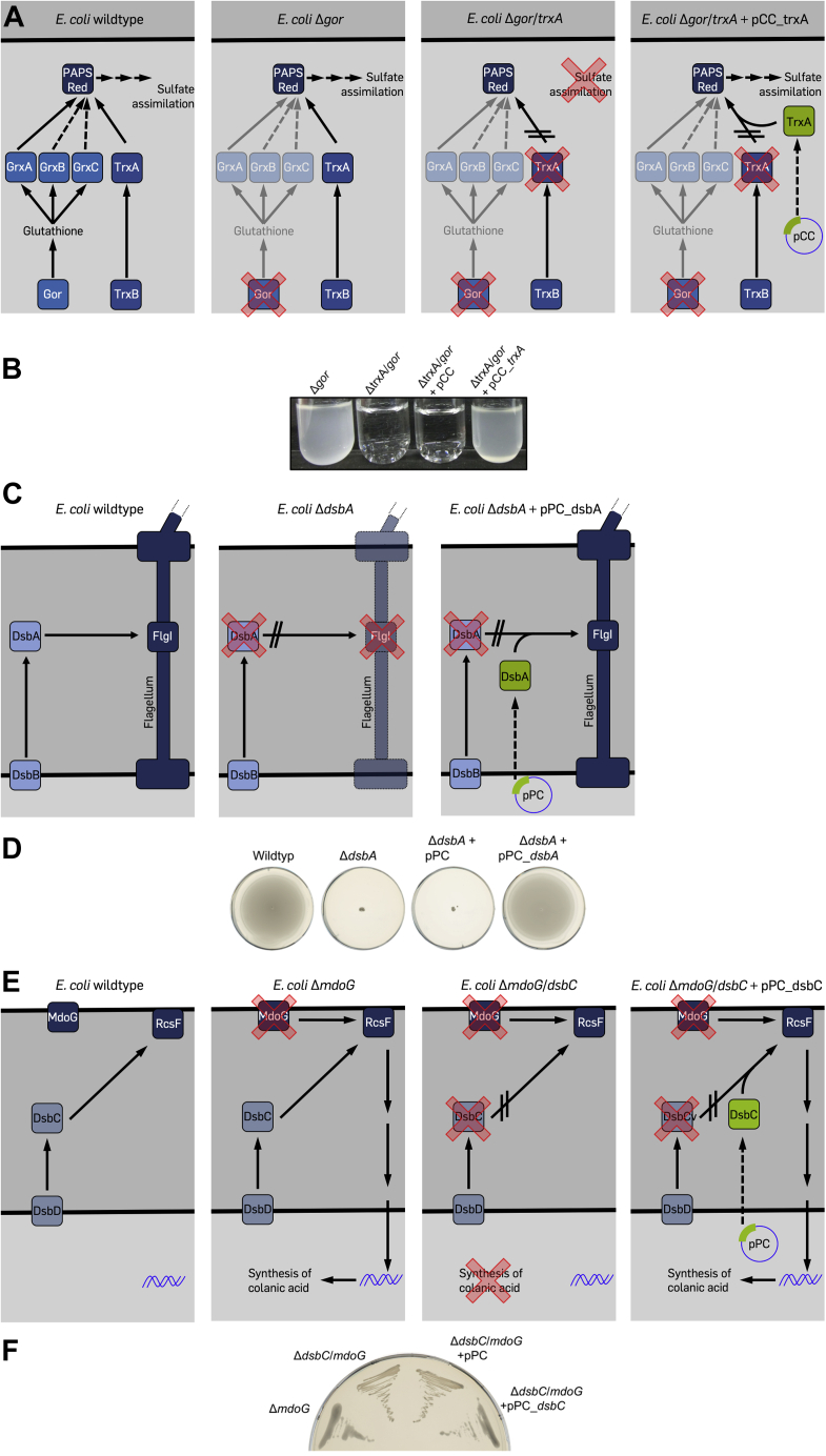 Figure 3