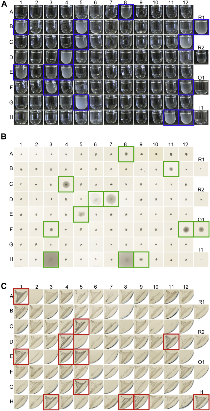 Figure 4