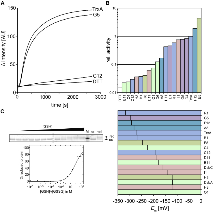 Figure 7