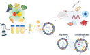 Image, graphical abstract