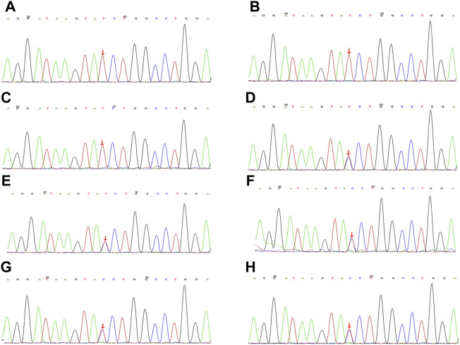 FIGURE 3