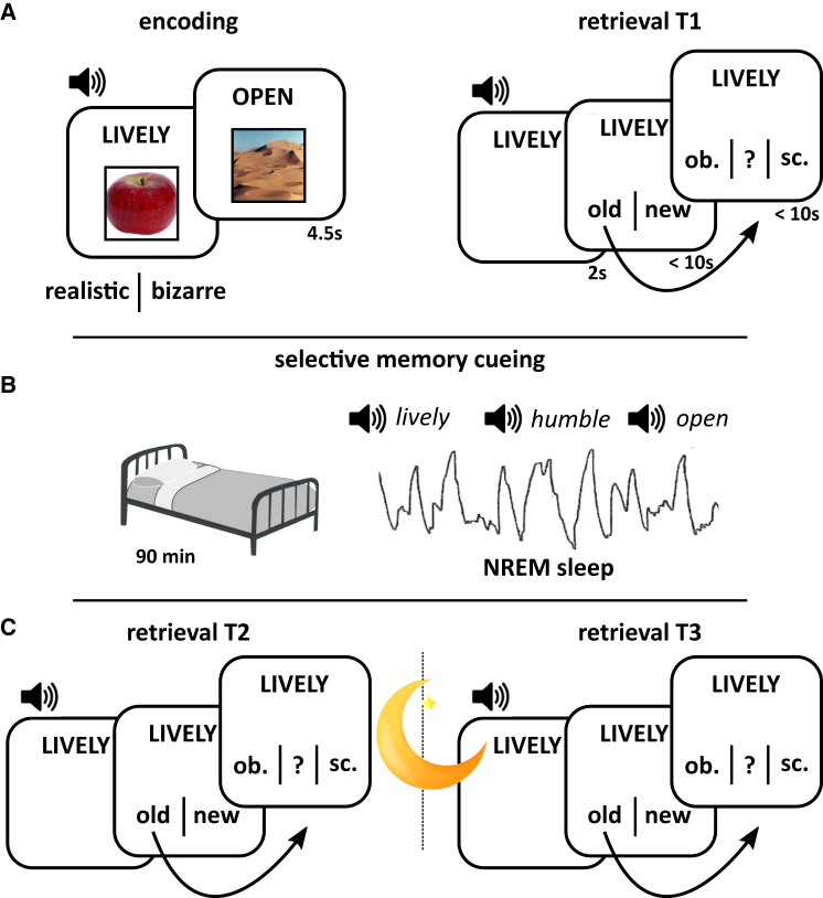 Figure 1