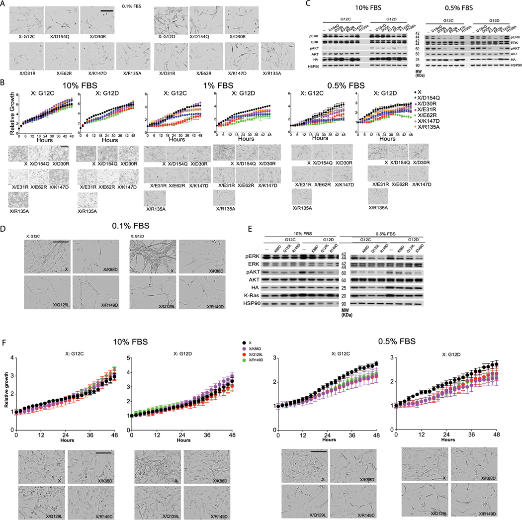 Extended Data Fig. 4 |