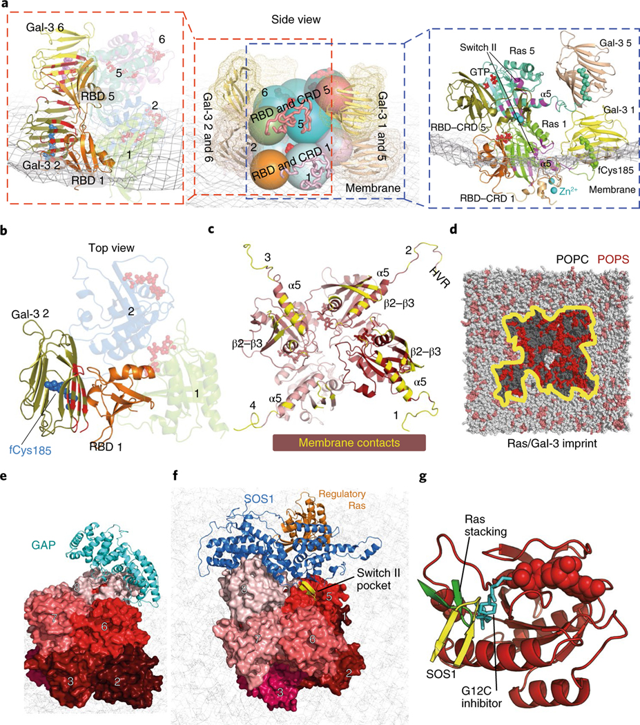 Fig. 7 |