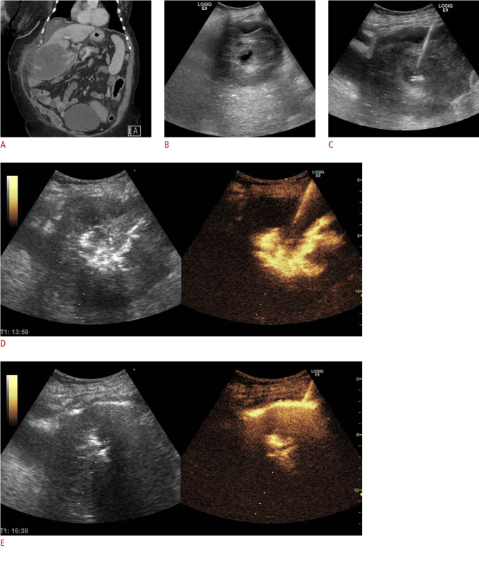 Fig. 8.