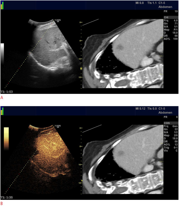 Fig. 5.