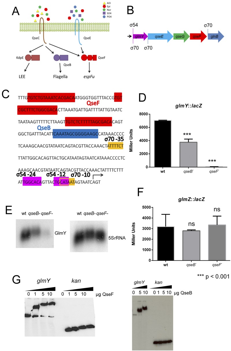 FIG 1 