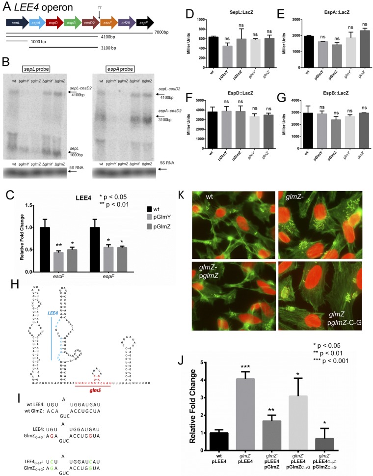 FIG 6 