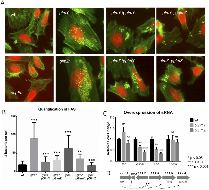 FIG 3 