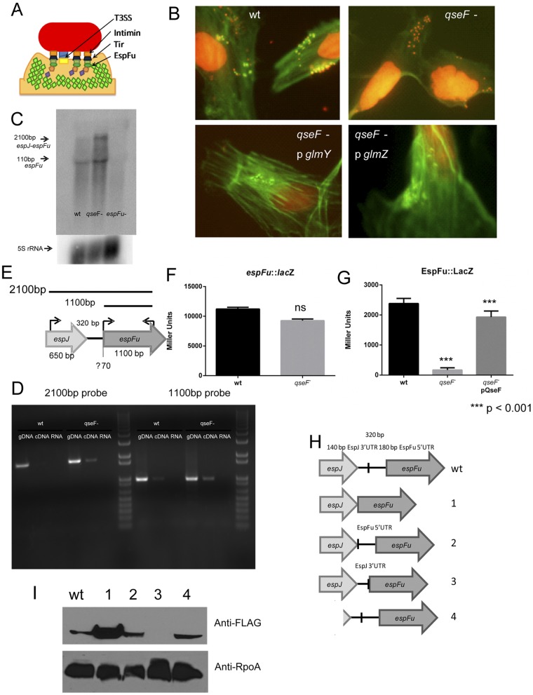 FIG 2 