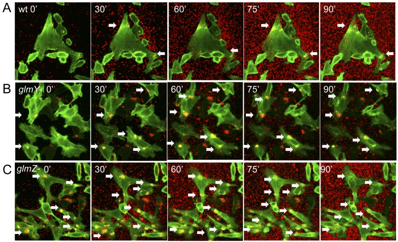 FIG 4 