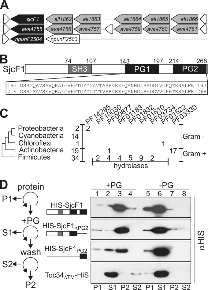 FIG 1 