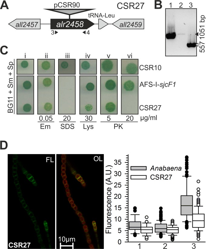 FIG 4 