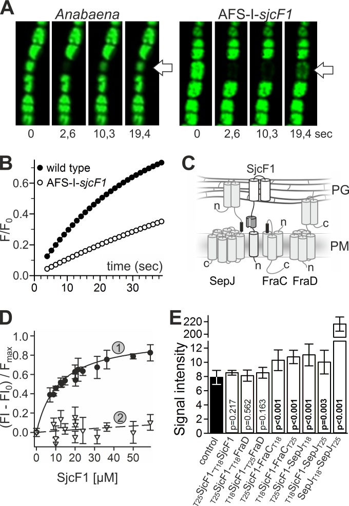 FIG 6 