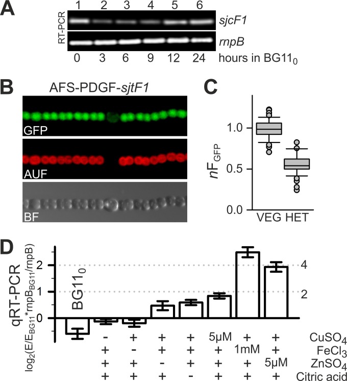 FIG 2 