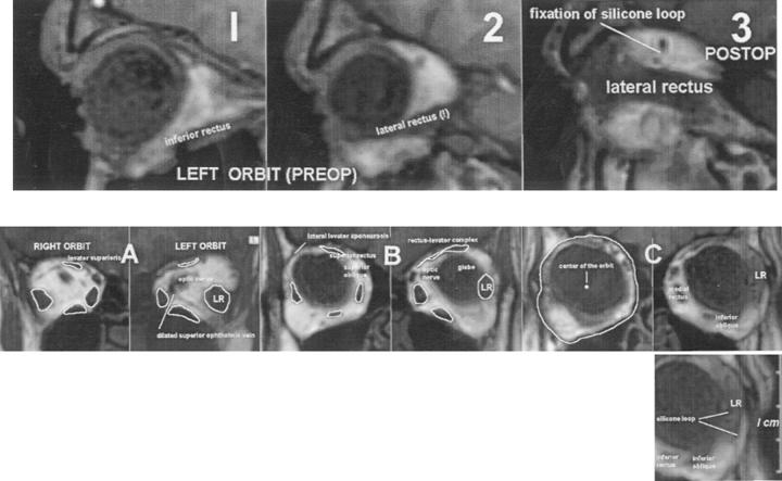 Figure 3  