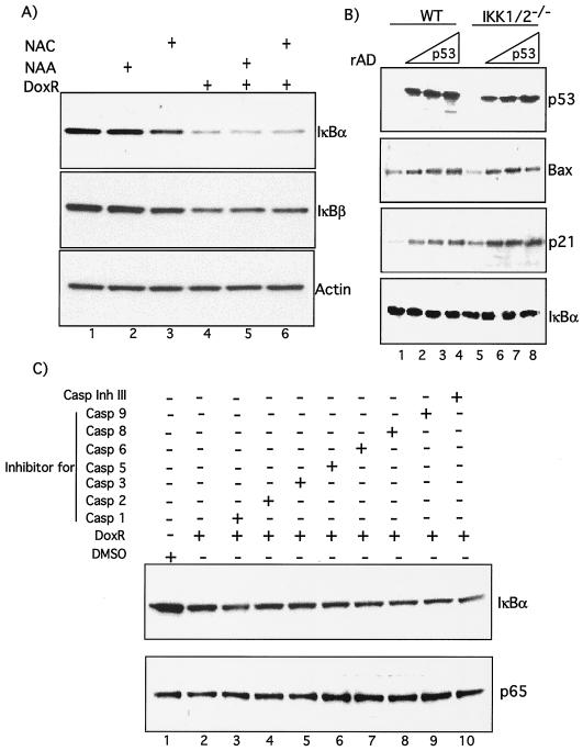 FIG. 5.