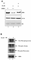 FIG. 6.