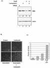 FIG. 8.