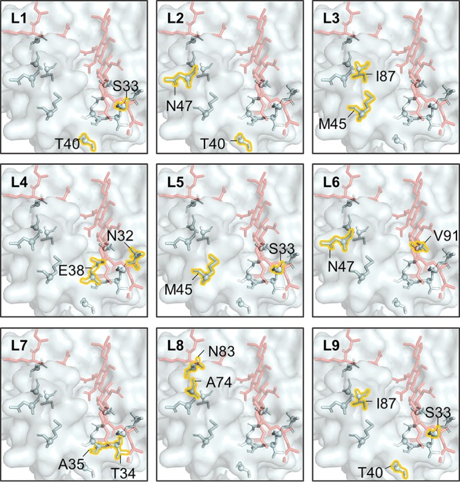 FIG 4