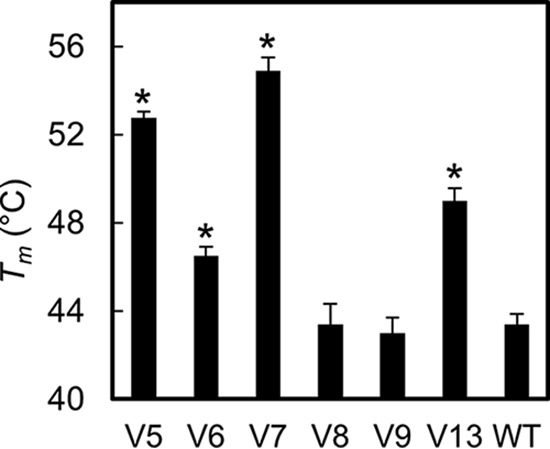 FIG 11