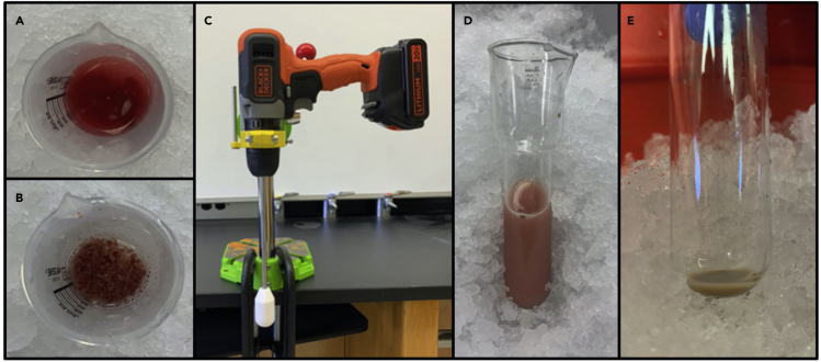 Figure 1