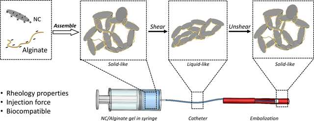 graphic file with name nihms-1968351-f0013.jpg