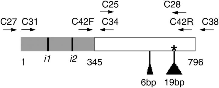 Figure 1.—