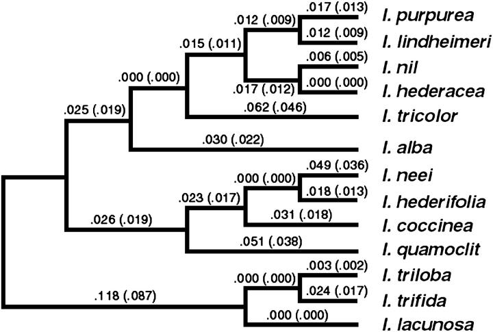 Figure 2.—