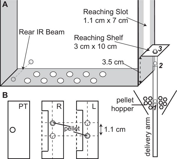 Fig. 1