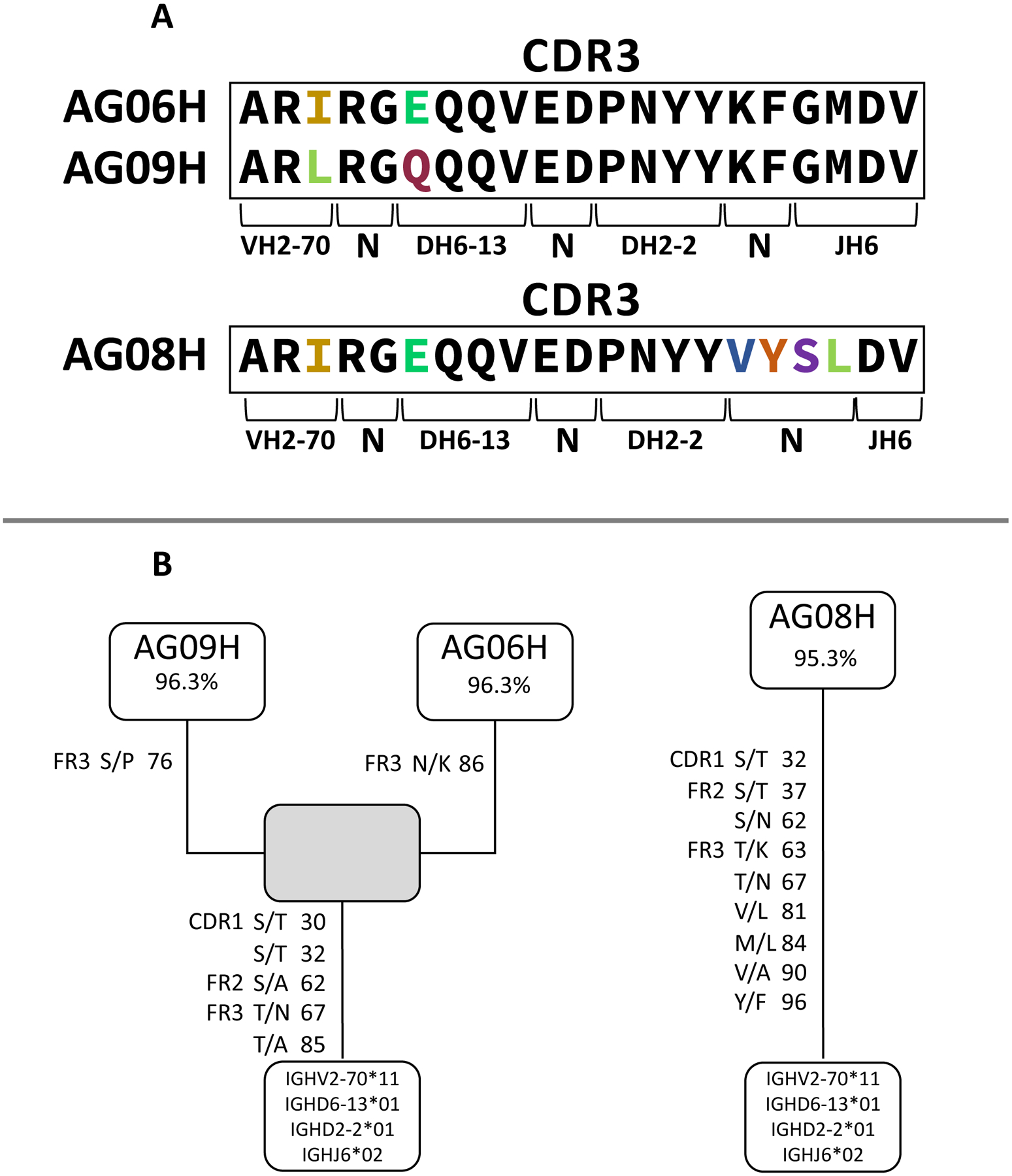 FIGURE 4.