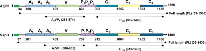 FIGURE 1.