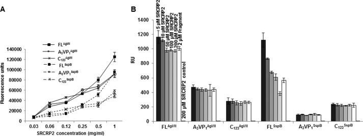 FIGURE 5.