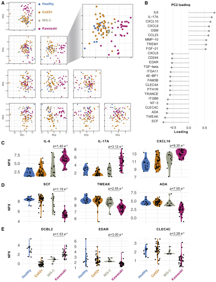 Figure 4