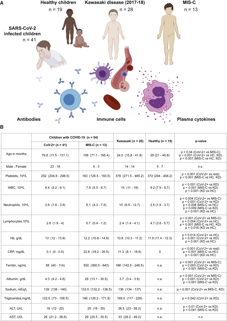 Figure 1