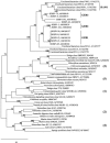 FIG. 6.