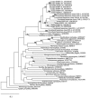 FIG. 5.