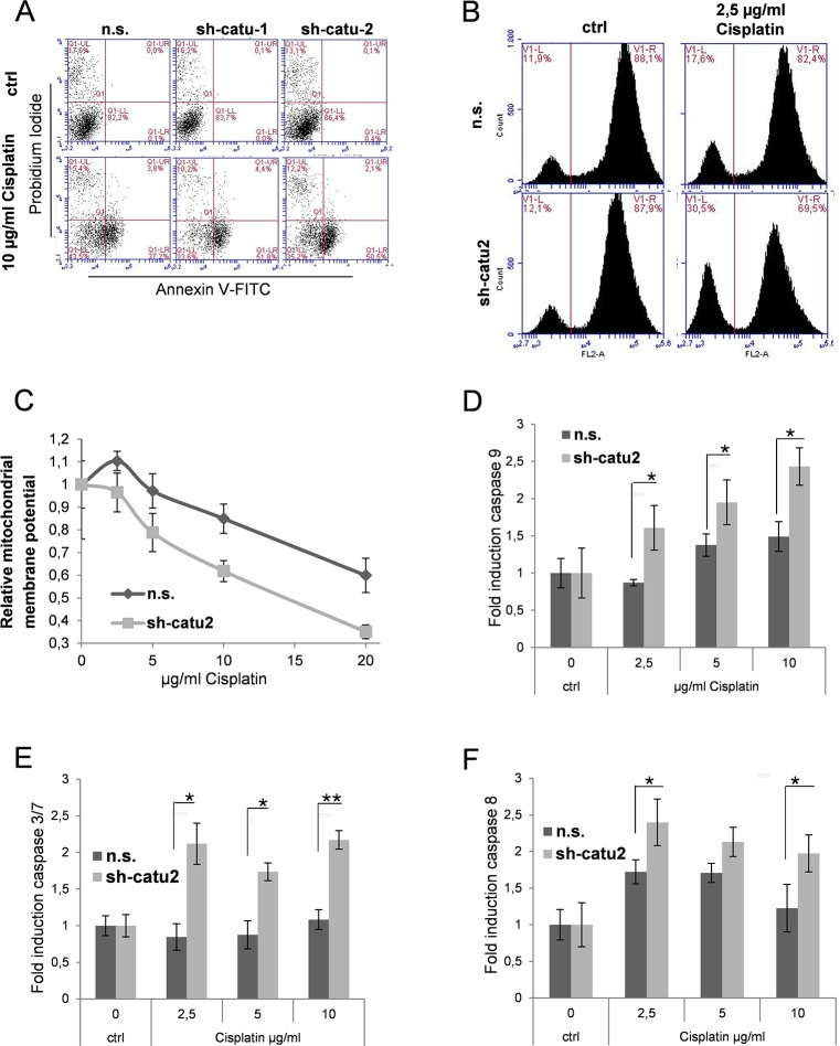 Fig 6