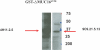 Figure 4A