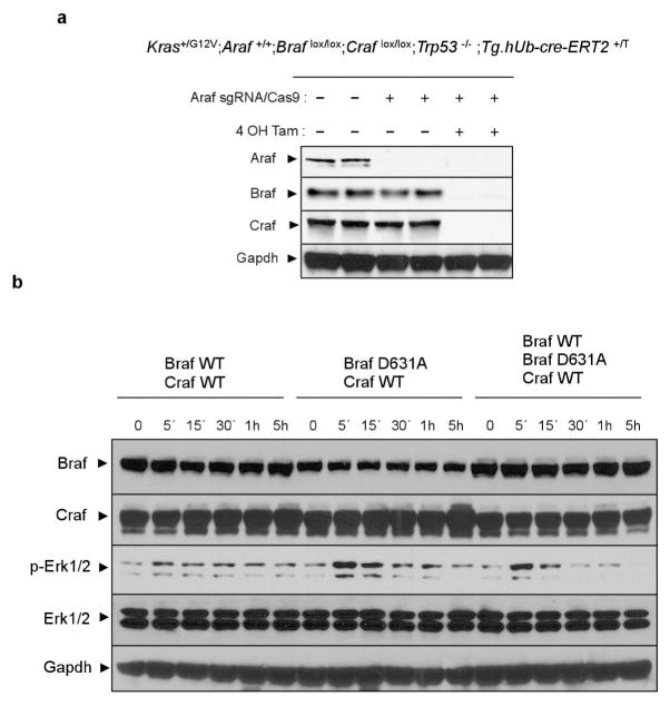 Extended Data Figure 1