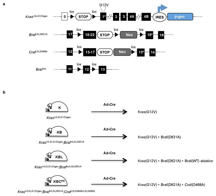 Extended Data Figure 2