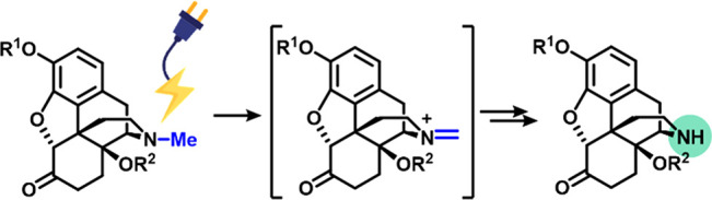 graphic file with name ol0c02424_0005.jpg