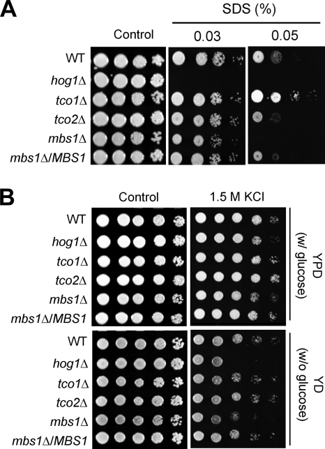 Fig 5