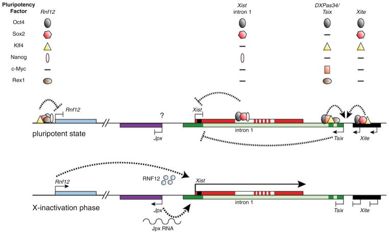 Fig. 4