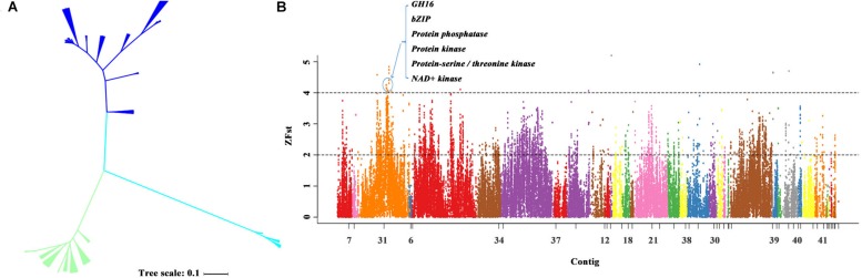 FIGURE 4