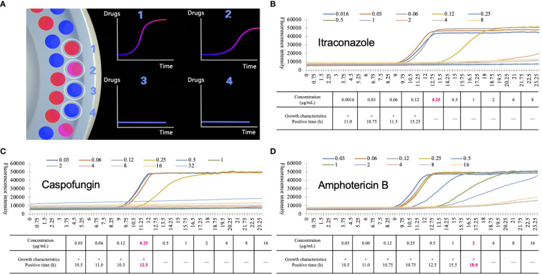 Figure 2