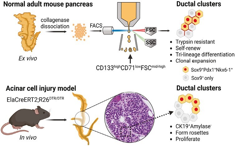 Graphical Abstract