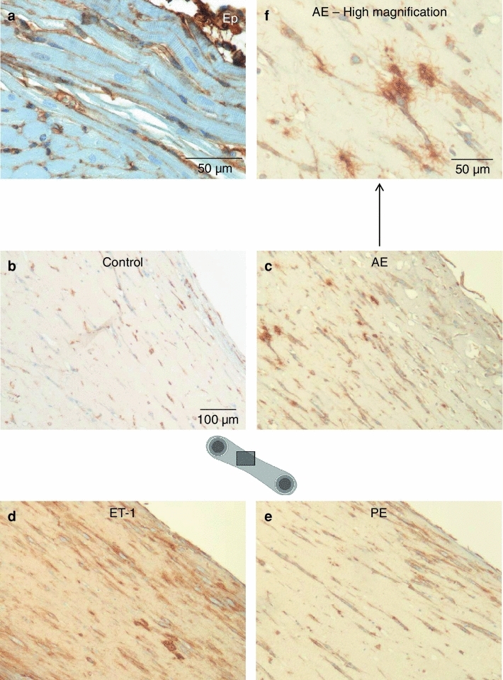 Fig. 6