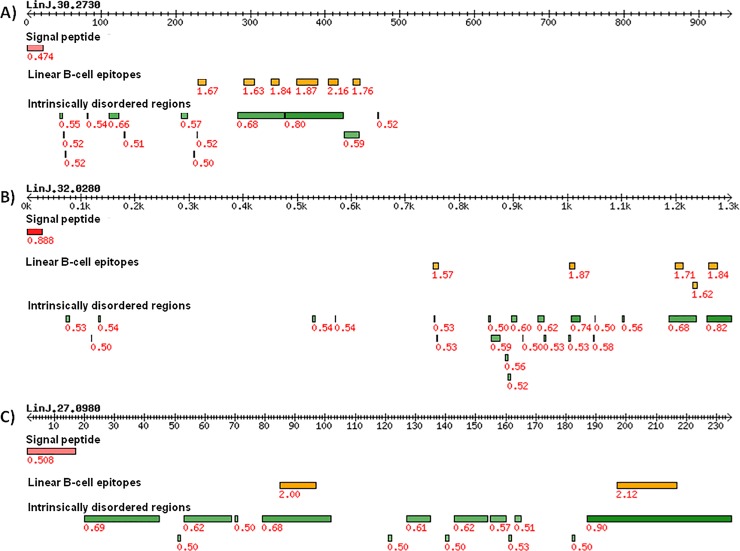 Fig 2